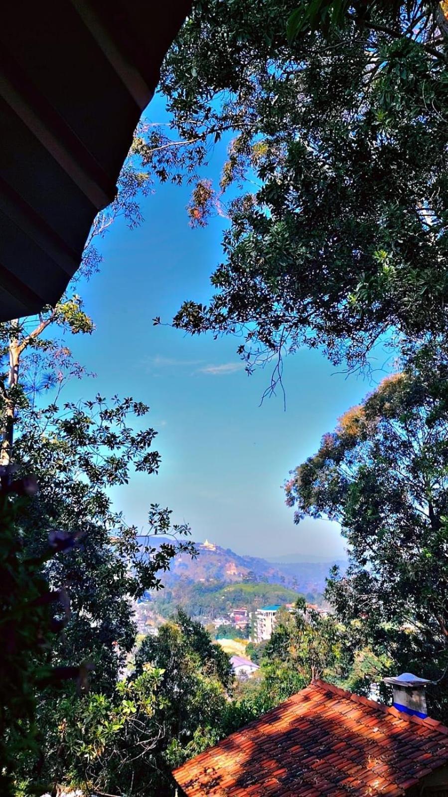 Ella Hillsite View酒店 外观 照片